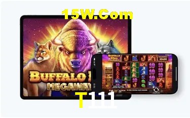 Experiência VIP T111